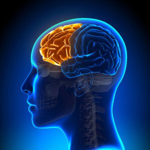 Brain Injury